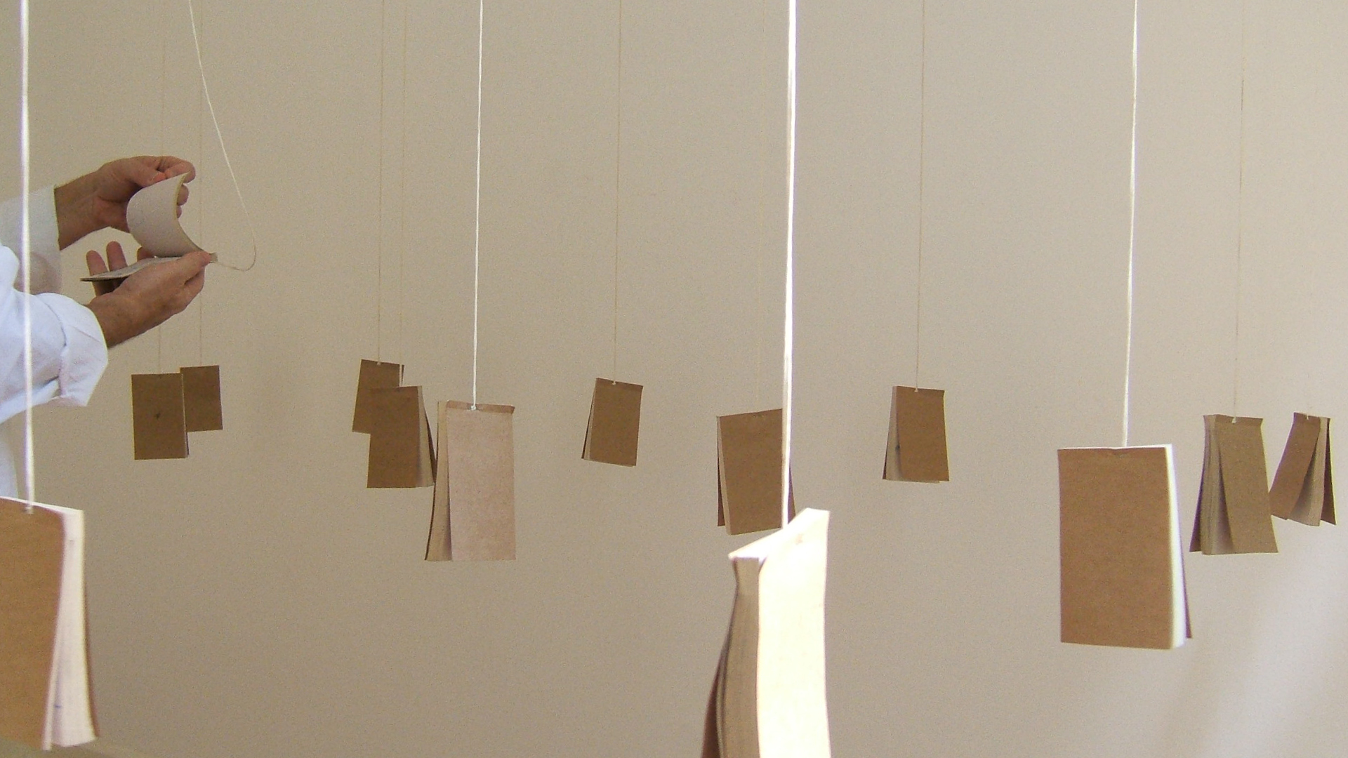 
							Exposição coletiva
						