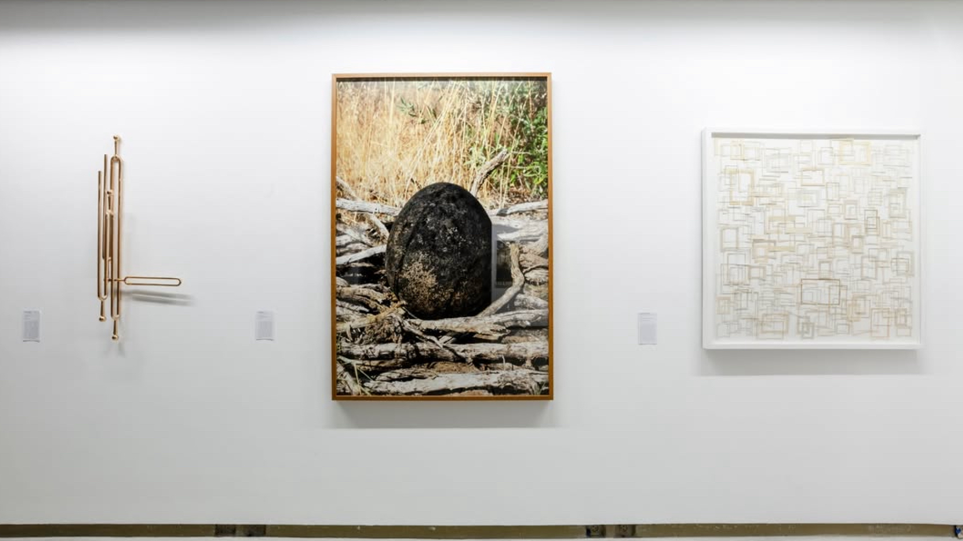 
							Exposição coletiva
						